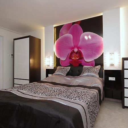 Regina Delux Apartman 久洛 外观 照片